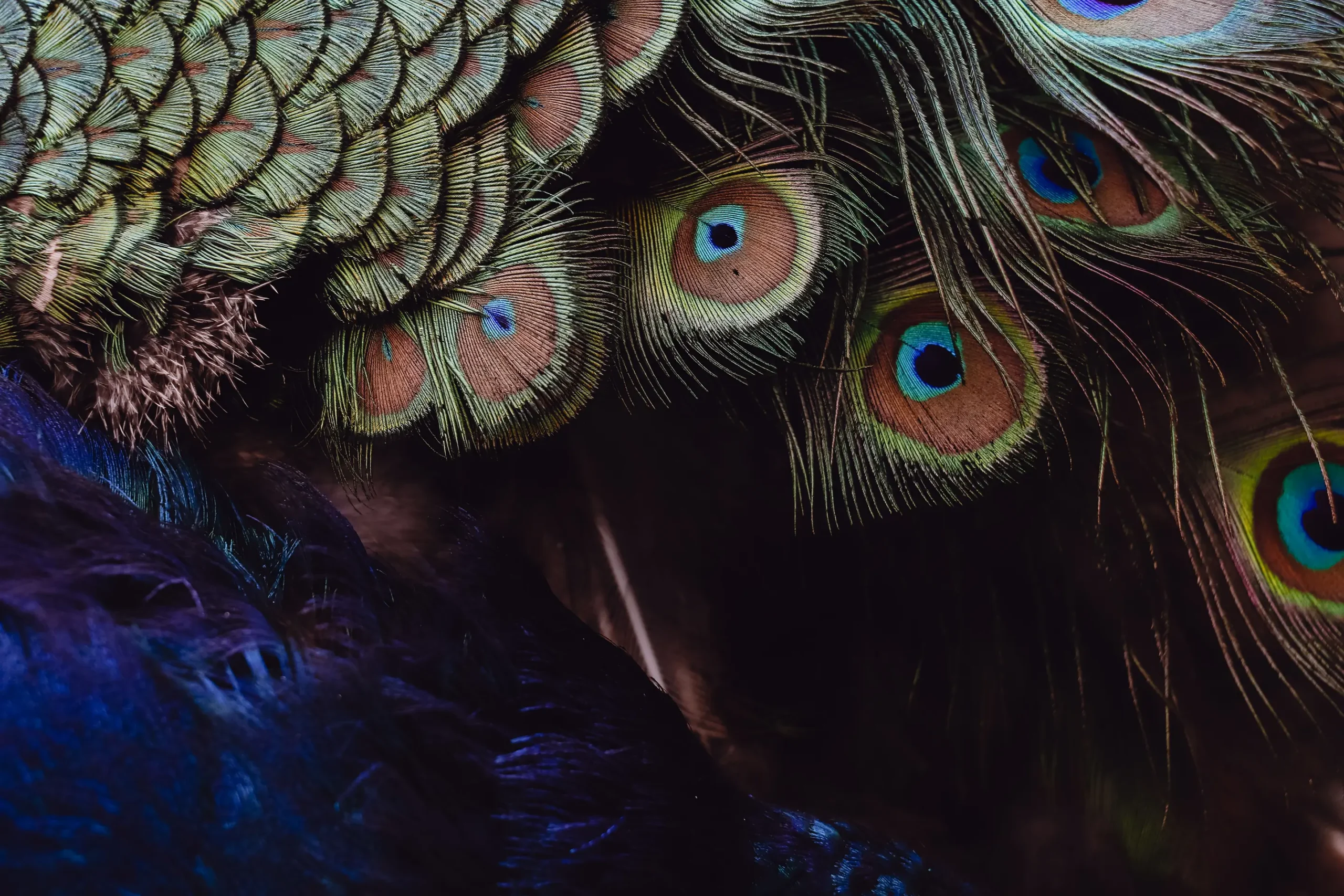 Inheritance Tax Advice