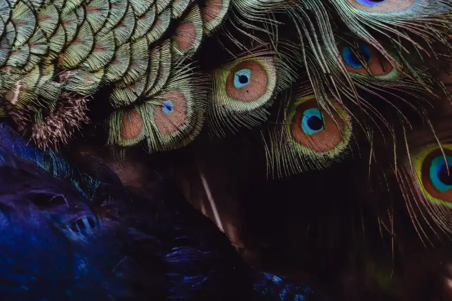 Inheritance Tax for Landlords