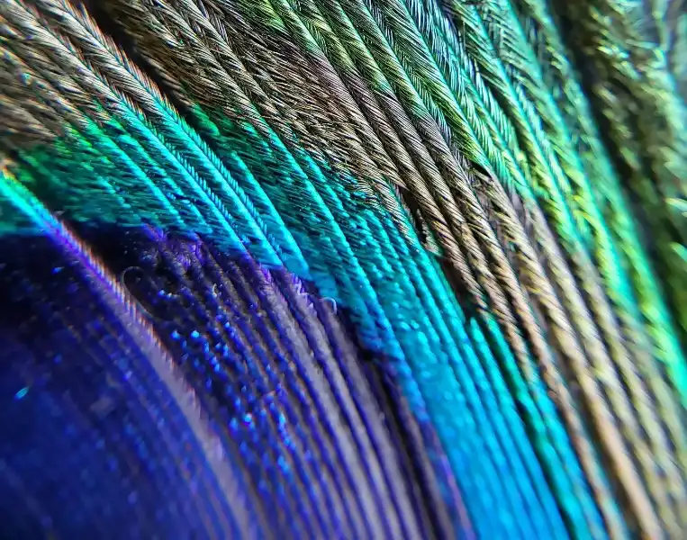 Investment & Tax Planning